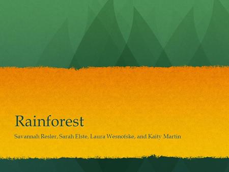 Rainforest Savannah Resler, Sarah Elste, Laura Wesnofske, and Kaity Martin.