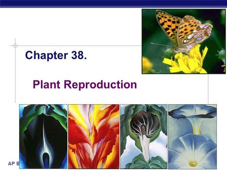 AP Biology 2005-2006 Chapter 38. Plant Reproduction.