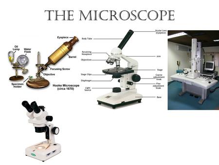 The Microscope. How To Use a Microscope 1.Make a wet mount –Place specimen on slide –Place one drop of water on specimen –Hold cover slip at a 45 degree.