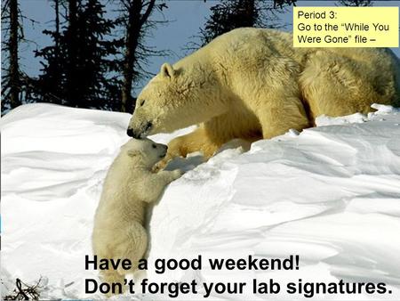 Have a good weekend! Don’t forget your lab signatures. Period 3: Go to the “While You Were Gone” file –