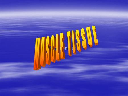 MUSCLE TISSUE.  Muscle tissue facilitates movement of the animal by contraction of individual muscle cells (referred to as muscle fibers). Muscle tissuemuscle.