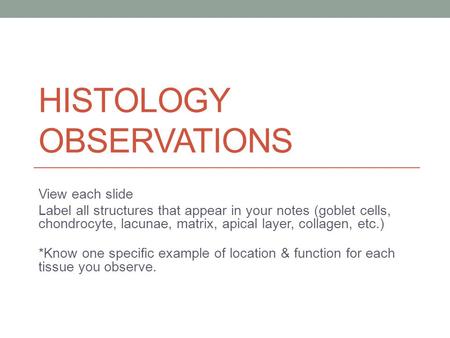 HISTOLOGY OBSERVATIONS View each slide Label all structures that appear in your notes (goblet cells, chondrocyte, lacunae, matrix, apical layer, collagen,
