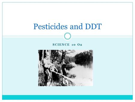 SCIENCE 10 O2 Pesticides and DDT. What are Pesticides? PESTICIDES: chemicals that are designed to kill pests. PEST: any organism that people consider.