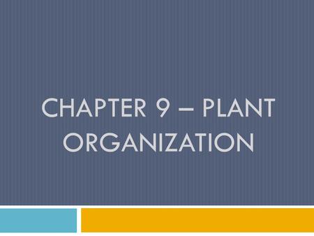 CHAPTER 9 – PLANT ORGANIZATION. 9.3 – Plant Tissues.