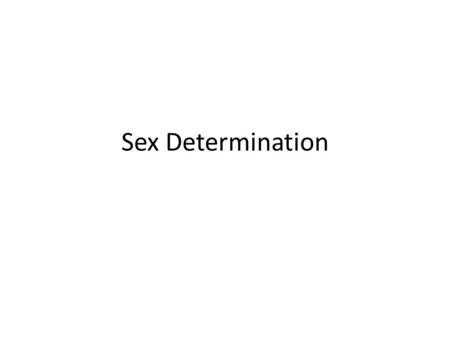 Sex Determination.