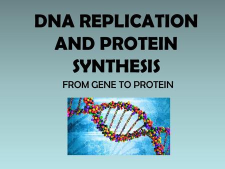 DNA REPLICATION AND PROTEIN SYNTHESIS