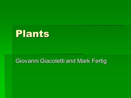 Plants Giovanni Giacoletti and Mark Fertig. Adaptations  Grassland Adaptation – Some prairie trees have thick bark to resist fire  Desert Plant Adaptation.