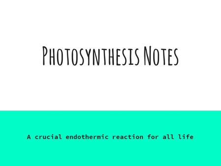 Photosynthesis Notes A crucial endothermic reaction for all life.