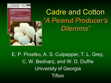 Cadre and Cotton “A Peanut Producer’s Dilemma” E. P. Prostko, A. S. Culpepper, T. L. Grey, C. W. Bednarz, and W. D. Duffie University of Georgia Tifton.