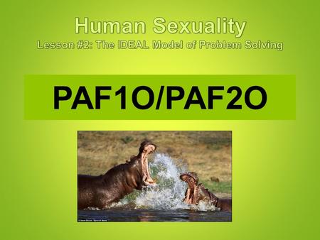 PAF1O/PAF2O. Relationship Conflicts Relationships – even healthy ones – involve conflict. Conflict isn’t a sign of an unhealthy relationship. It’s how.