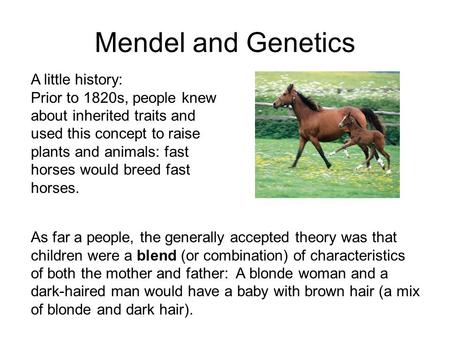 Mendel and Genetics A little history: Prior to 1820s, people knew about inherited traits and used this concept to raise plants and animals: fast horses.