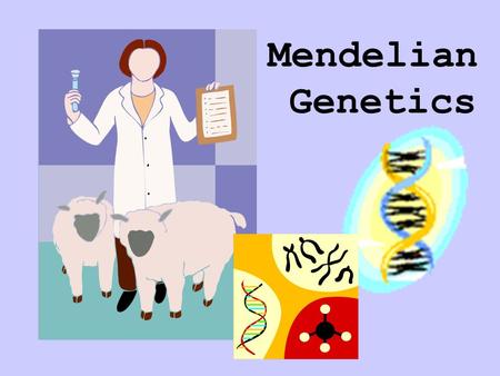 Mendelian Genetics. Genetics Study of heredity, or the passing on of traits (characteristics) from parent to offspring.