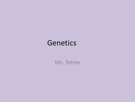 Genetics Ms. Tetrev.