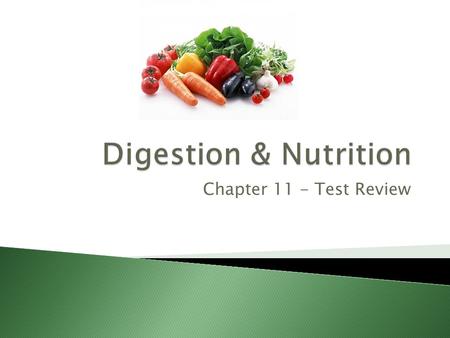 Chapter 11 - Test Review. 1. The clear liquid that moistens the food in the mouth and begins digestion is called__________. a. chyme b. gastric juices.