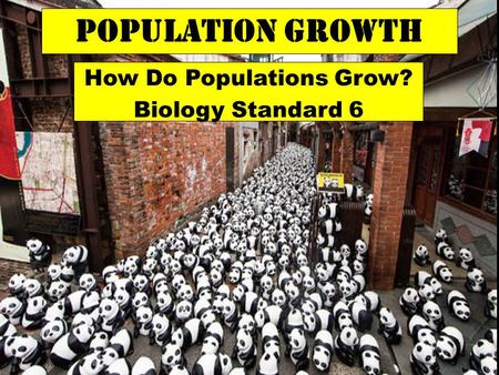 How Do Populations Grow? Biology Standard 6 Population Growth.