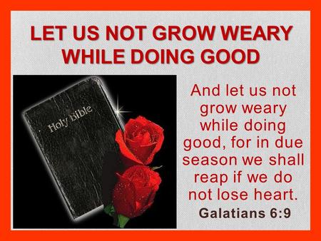 LET US NOT GROW WEARY WHILE DOING GOOD