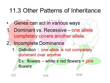 Incomplete dominance biology definition