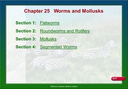 Chapter 25 Worms and Mollusks