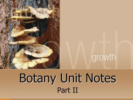 Botany Unit Notes Part II.