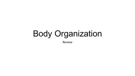 Body Organization Review. Planes of the Body Transverse plane Cuts the body into superior and inferior halves. 2 movements are internal rotation and external.
