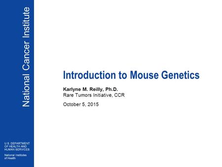 National Cancer Institute Introduction to Mouse Genetics Karlyne M. Reilly, Ph.D. Rare Tumors Initiative, CCR October 5, 2015.
