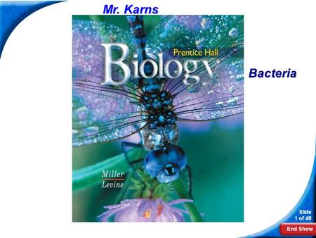 End Show Slide 1 of 40 Biology Mr. Karns Bacteria.