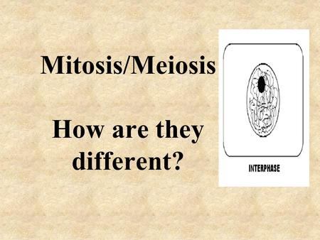 Mitosis/Meiosis How are they different?