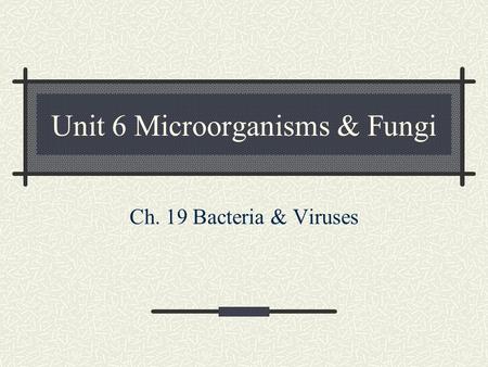 Unit 6 Microorganisms & Fungi Ch. 19 Bacteria & Viruses.