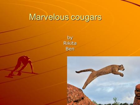 Marvelous cougars byRikitaBen. Marvelous Classification It’s a mammal (because it’s a wild cat.) Because it has fur, Females feed their young It’s a Carnivore.