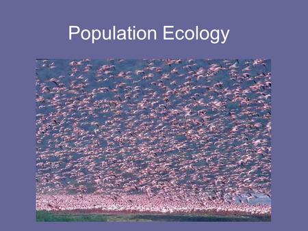 Population Ecology. What is a population? All the members of a species living in the same place at the same time. Organisms usually breed with members.