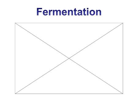 Fermentation Anaerobic: Creates ATP without oxygen Two Types 1) Lactic Acid fermentation –Performed by animals 2) Alcoholic fermentation –Performed.