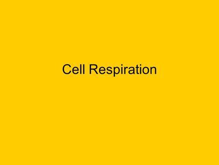 Cell Respiration.