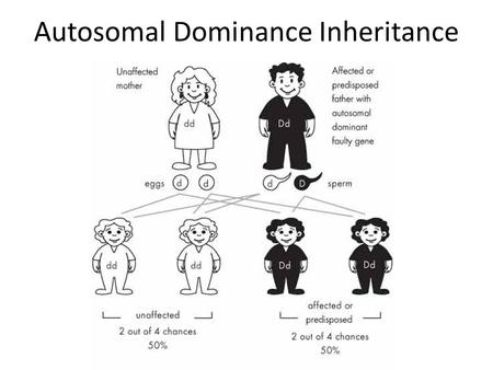 Autosomal Dominance Inheritance What’s an Autosome? Autosome: Non sex chromosome –E–Ex: Autosomal disorders: gene for the disease is found on chromosomes.