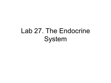 Lab 27. The Endocrine System. Safety info Read the two sheets (green and pink) Sign the yellow sheet Under 18? Please see me.