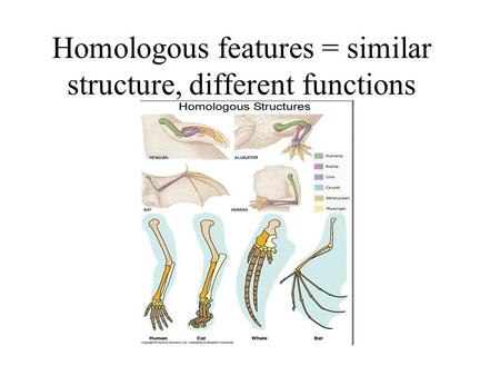 Homologous features = similar structure, different functions.