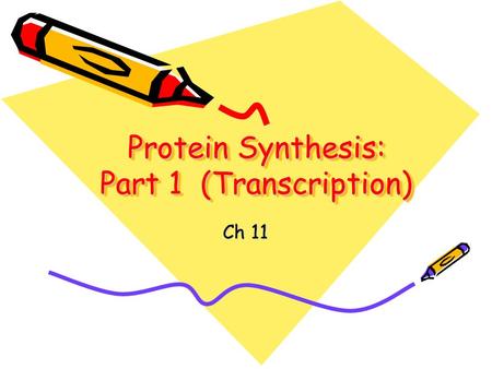 Protein Synthesis: Part 1 (Transcription) Ch 11. Protein Synthesis means Synthesizing Proteins or “MAKING” PROTEINS.