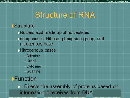 Structure of RNA  Structure  Nucleic acid made up of nucleotides  composed of Ribose, phosphate group, and nitrogenous base  Nitrogenous bases  Adenine.