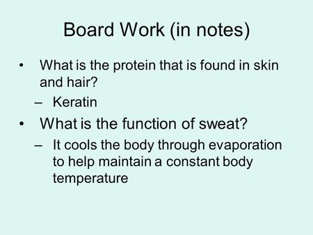 Board Work (in notes) What is the protein that is found in skin and hair? –Keratin What is the function of sweat? –It cools the body through evaporation.