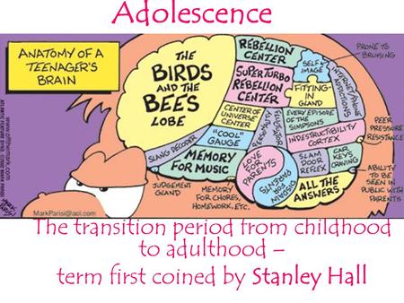 Adolescence The transition period from childhood to adulthood – term first coined by Stanley Hall.