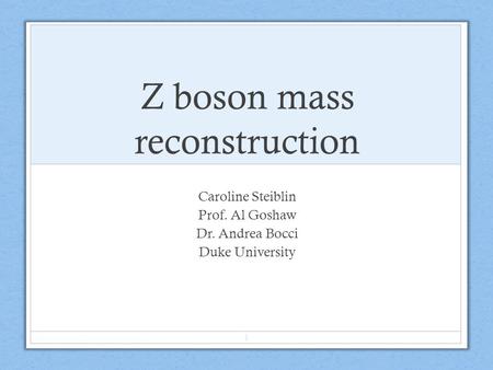 Z boson mass reconstruction Caroline Steiblin Prof. Al Goshaw Dr. Andrea Bocci Duke University 1.