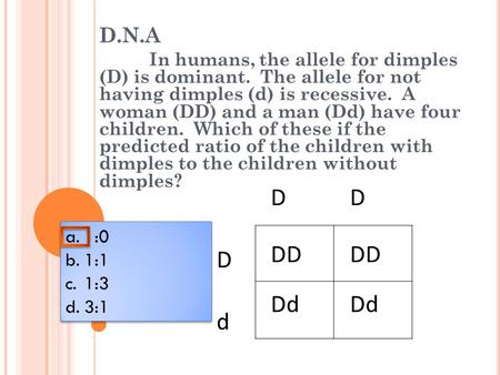 D.N.A In humans, the allele for dimples (D) is dominant. The allele for not having dimples (d) is recessive. A woman (DD) and a man (Dd) have four.