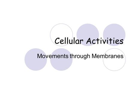 Cellular Activities Movements through Membranes. Structure Phospholipid bilayer Proteins Glycoproteins Cholesterol.