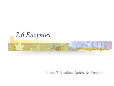 7.6 Enzymes Topic 7 Nucleic Acids & Proteins. 7.6.1 State that metabolic pathways consist of chains and cycles of enzyme-catalysed reactions. 7.6.2 Describe.