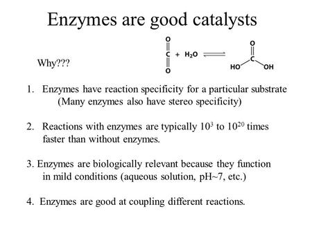 Enzymes are good catalysts
