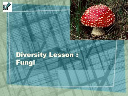 Diversity Lesson : Fungi