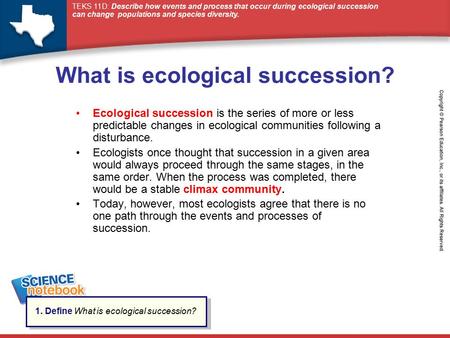 What is ecological succession?