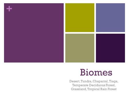 + Biomes Desert, Tundra, Chaparral, Tiaga, Temperate Deciduous Forest, Grassland, Tropical Rain Forest.