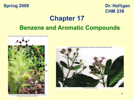 11111 Spring 2009Dr. Halligan CHM 236 Benzene and Aromatic Compounds Chapter 17.