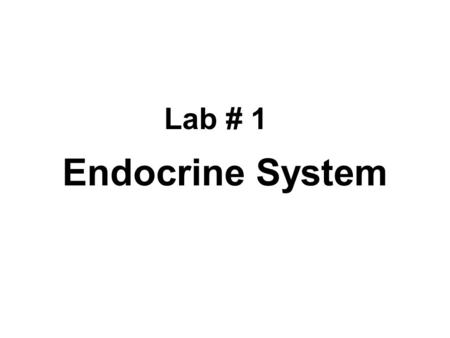 Lab # 1 Endocrine System. THIS IS A STUDY GUIDE, NOT AN ALL INCLUSIVE REVIEW. THERE MIGHT BE THINGS NOT COVERED BY THIS STUDY GUIDE THAT MIGHT BE ASKED.
