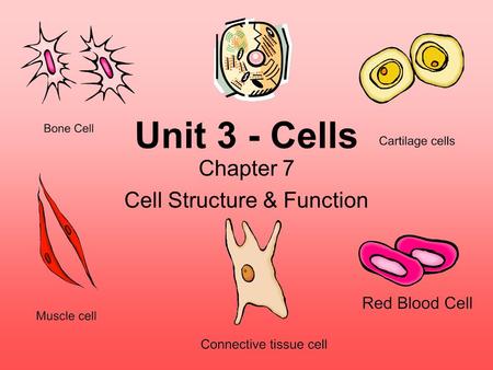 Unit 3 - Cells Chapter 7 Cell Structure & Function.